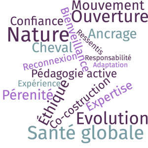 nuage de mots Nehom Conseil